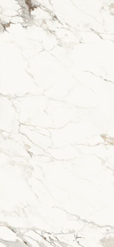 AE CAP6 278 LPM.jpg